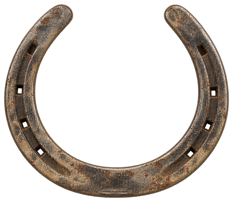 Rusty horseshoe before restoration