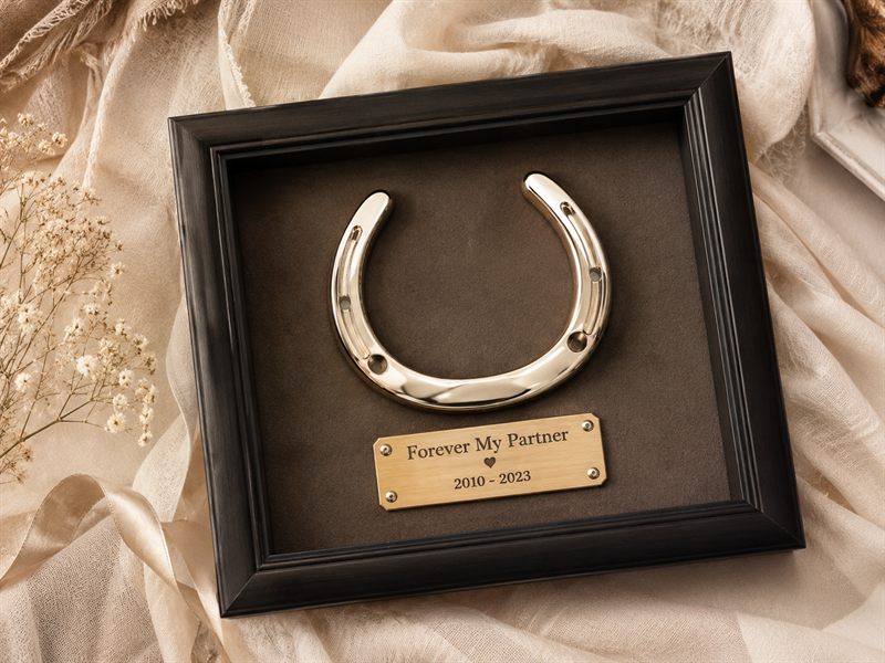 Legacy Frame - polished horseshoe keepsake